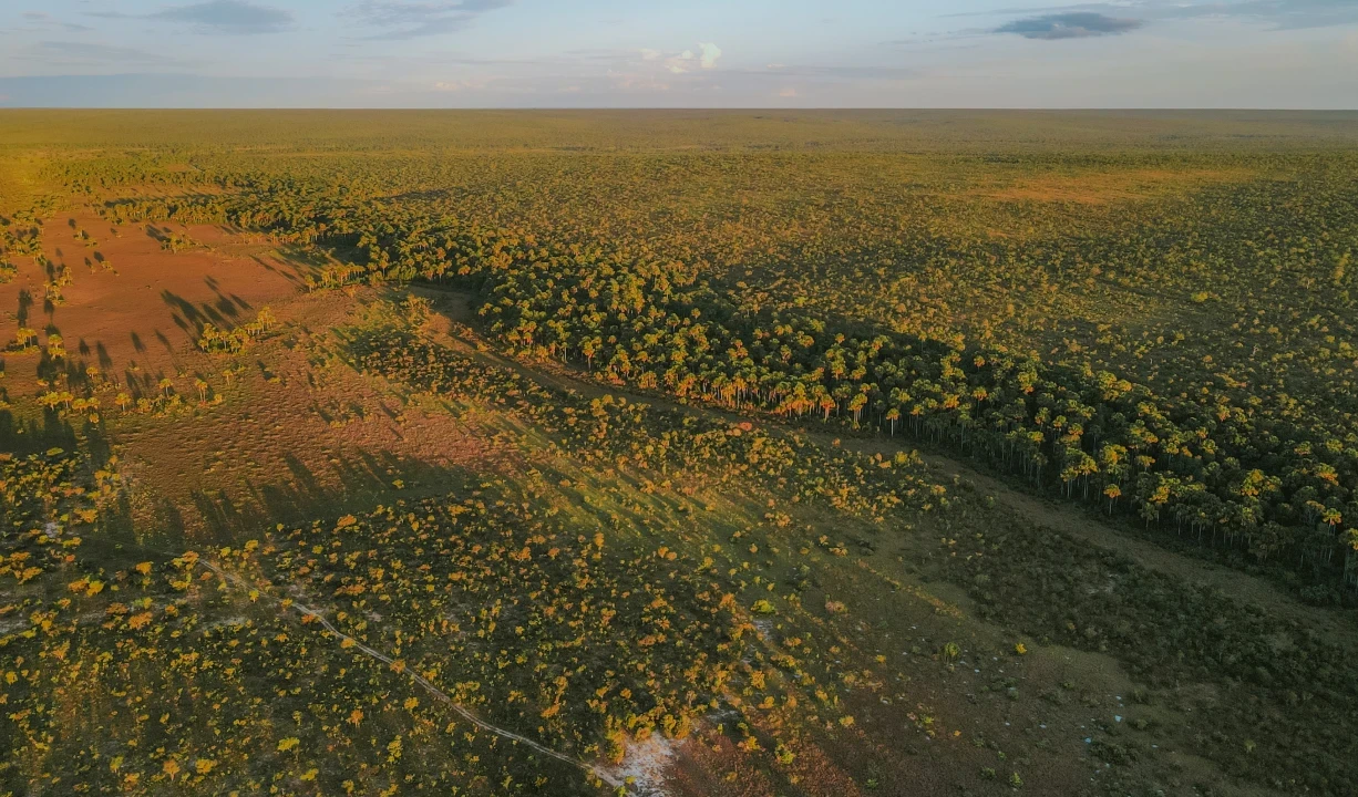 Trilhas e travessias: