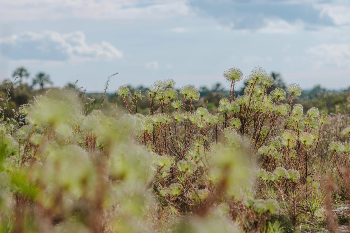 Viagem para todas as idades