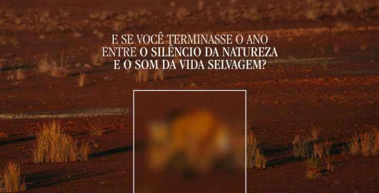 Fim de ano na Pousada Trijunção